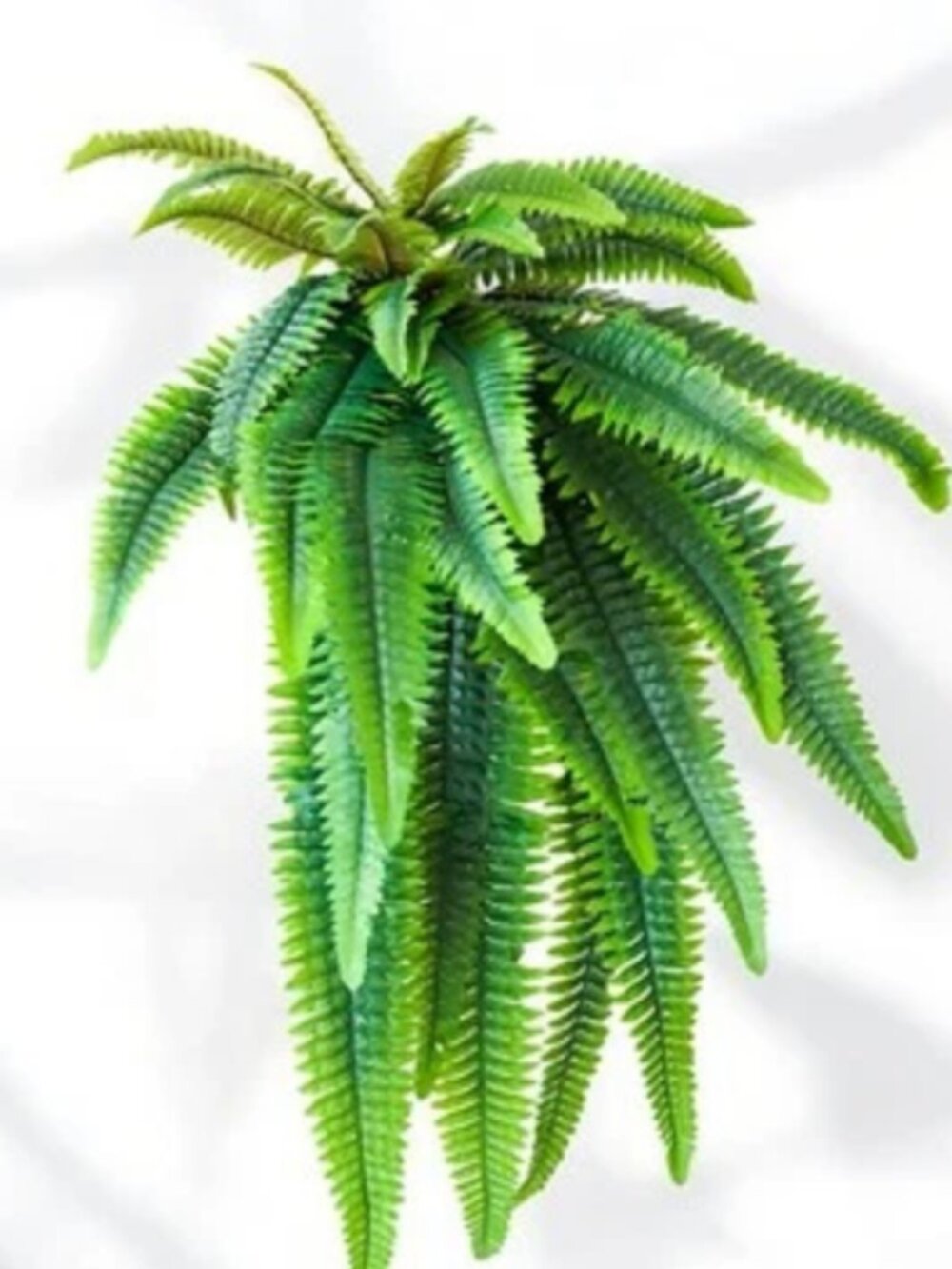 Fern Bush 40 Inches